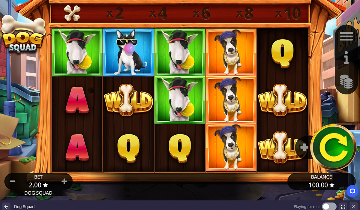 Dog-Squad-Slot-A-Crew-Youre-Gonna-Wanna-Be-A-Part-Of!_special_image_1