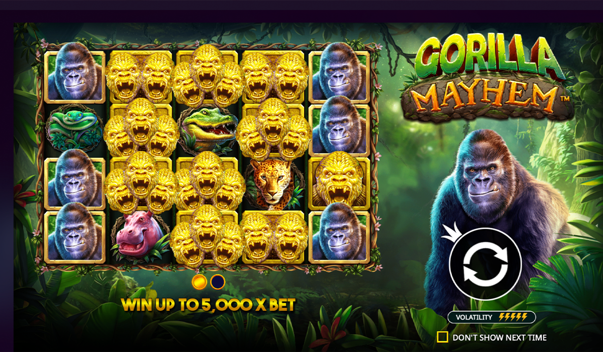 $409,693-Mega-Win-All-Eyes-on-Gorilla-Mayhem-Slot!--special-image_01