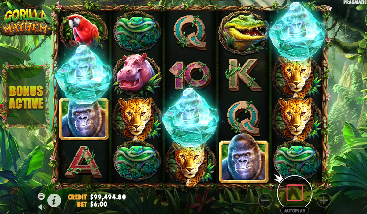 $409,693-Mega-Win-All-Eyes-on-Gorilla-Mayhem-Slot!--special-image_02