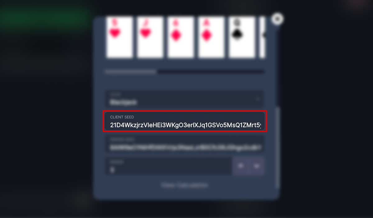 How to use the BitStarz Originals provably fair tool - step 15.