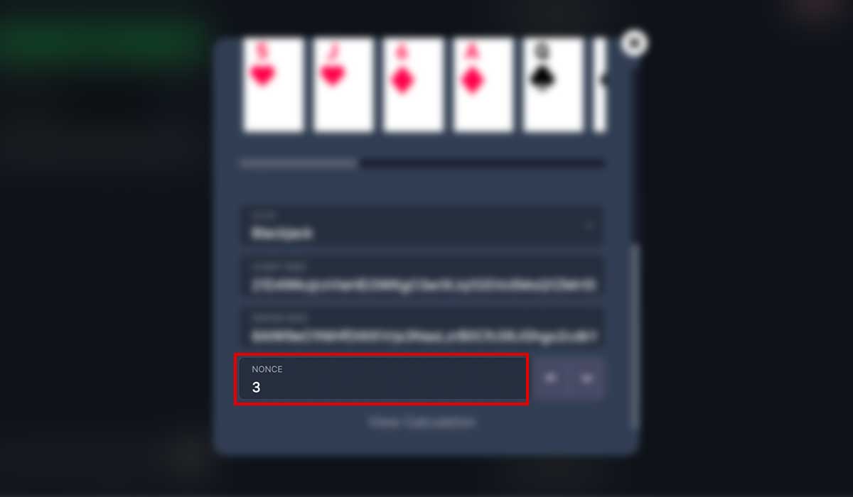 How to use the BitStarz Originals provably fair tool - step 17.