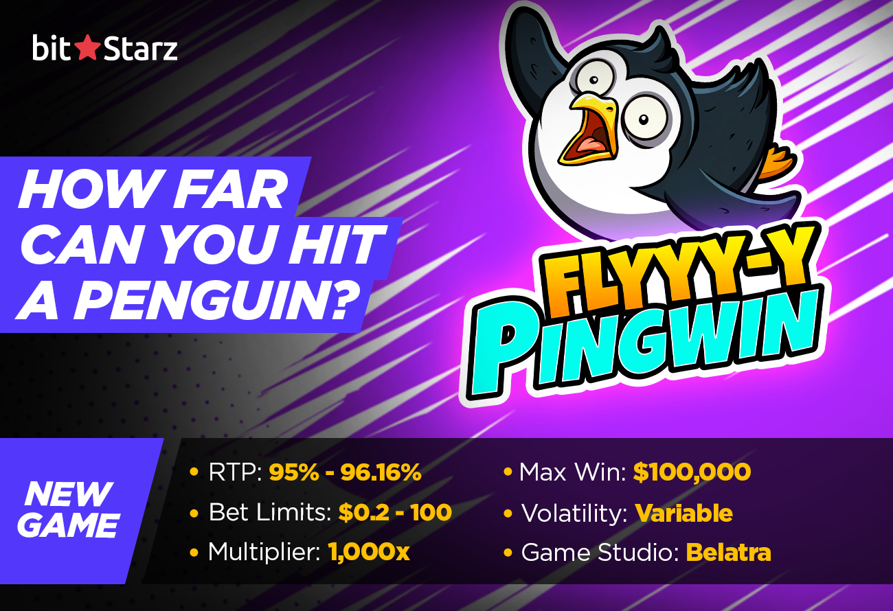 PingWin-Fly-Turns-the-Absurdity-Up-to-Eleven